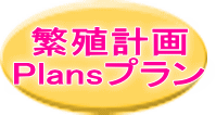 繁殖計画 Plansプラン