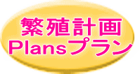 Plans